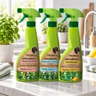 Cleaneco Bajnok trió