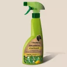 Cleaneco bajnok trió