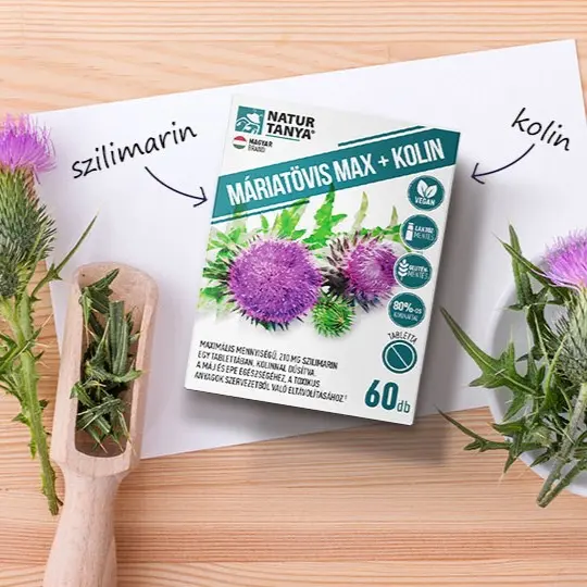 mariatovis-max-emesztes-epe-maj-kolin-szilimarin.webp