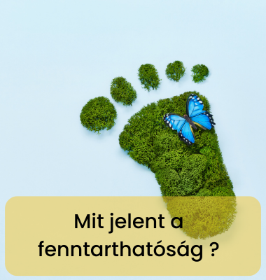 Mit jelent valójában a fenntarthatóság – és mi köze hozzá a mosogatáshoz?